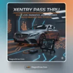 Xentry Pass Thru